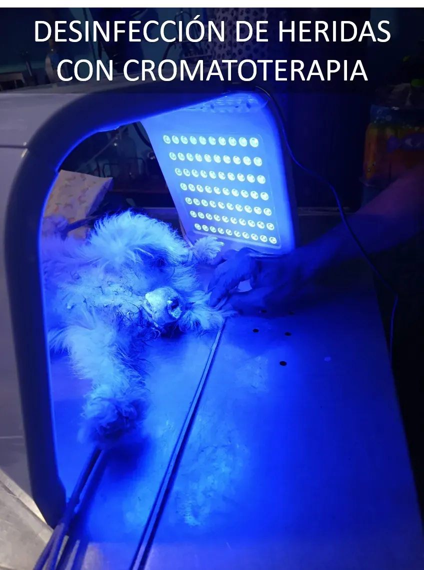 Curas, tratamientos y emergencias